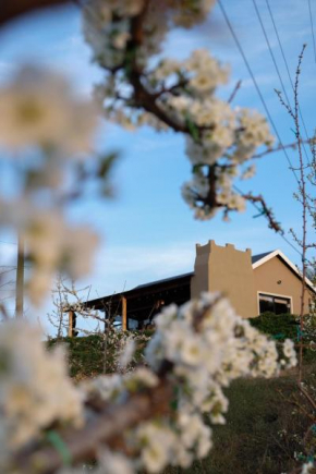 Nicara Luxury Ecocabin